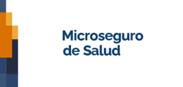 MICROSEGURO_DE_SALUD-_letras_logo.png