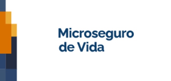 micro_seguro_de_vida.png