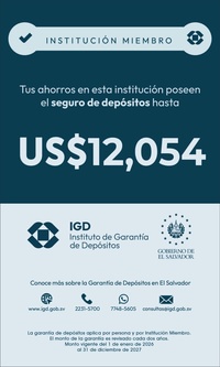 Calcomania-Oficial-IGD-2026-2027.jpg